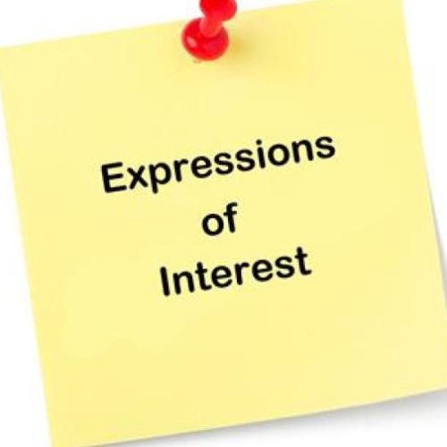 REQUEST FOR EXPRESSION OF INTEREST (INDIVIDUAL CONSULTANT SELECTION) – Consultancy services for Business Development Plan